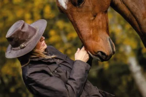 hästfotografi portfolio Hästfotografi Portfolio