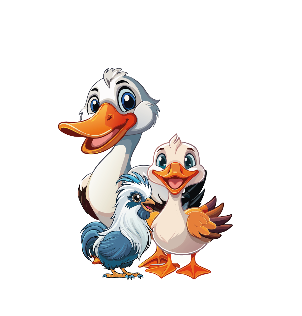 Grafisk Design Kunskapshubb