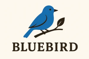 Logotyp portfolio Logotyp Portfolio